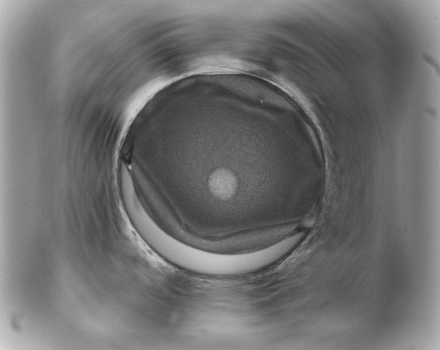 X0000102461488200808291531