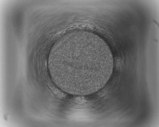 X0000102461489200808291531