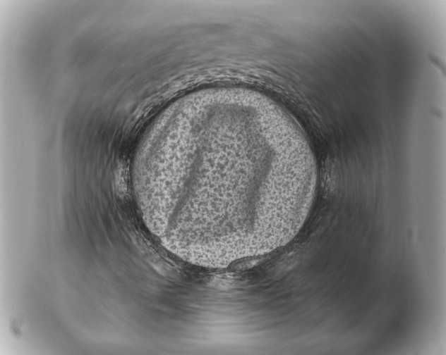 X0000102461490200808291531