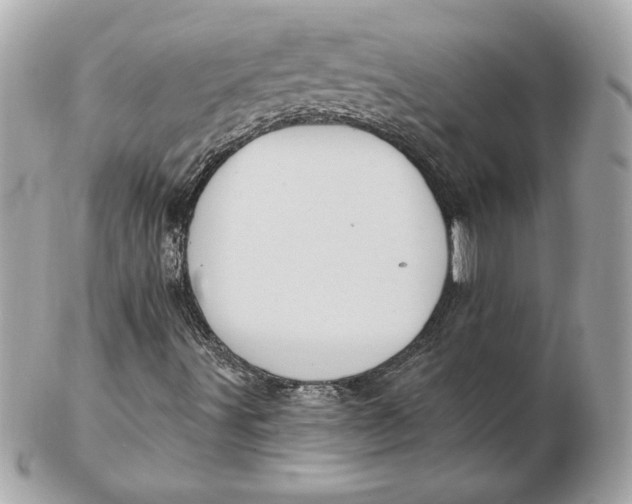 X0000102461491200808291531