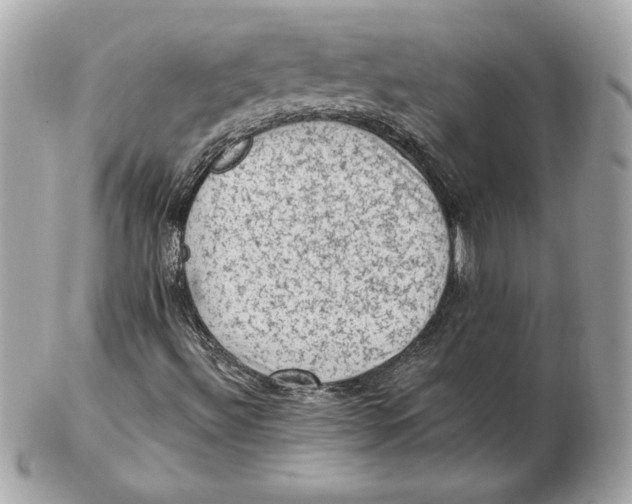 X0000102461492200808291531