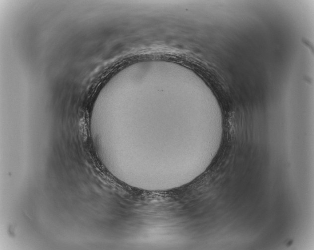 X0000102461493200808291531