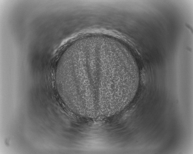 X0000102461494200808291531