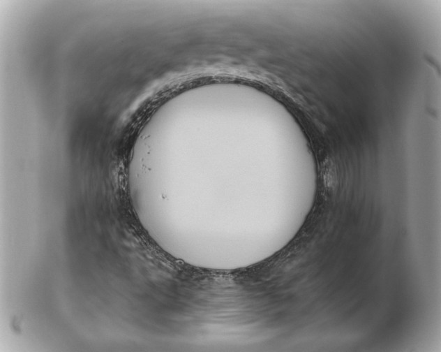 X0000102461495200808291531