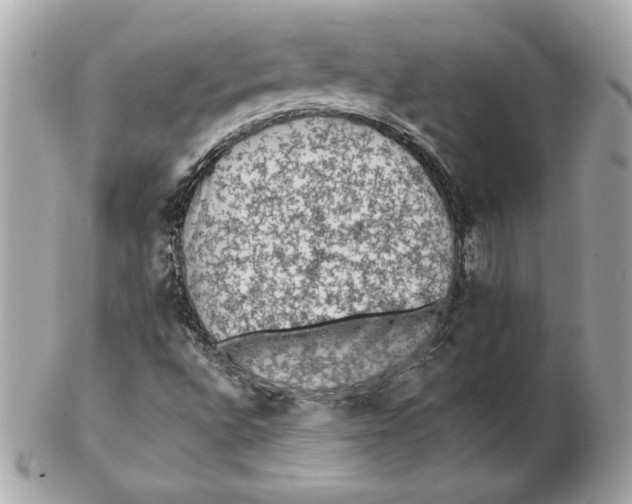 X0000102461496200808291531