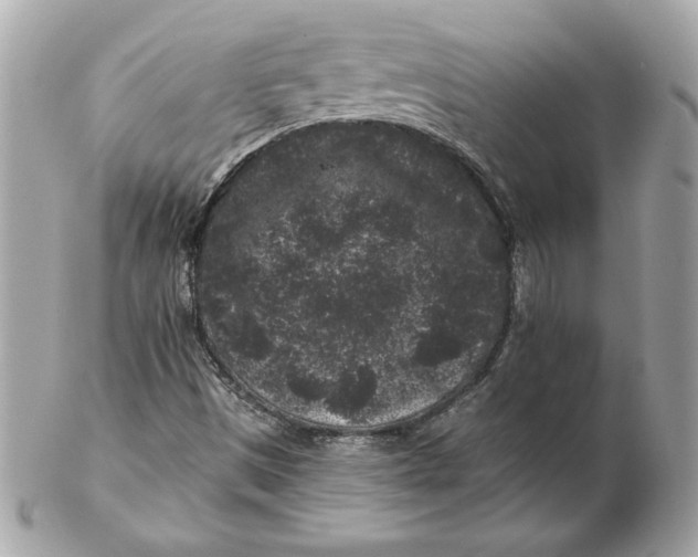 X0000102461497200808291531