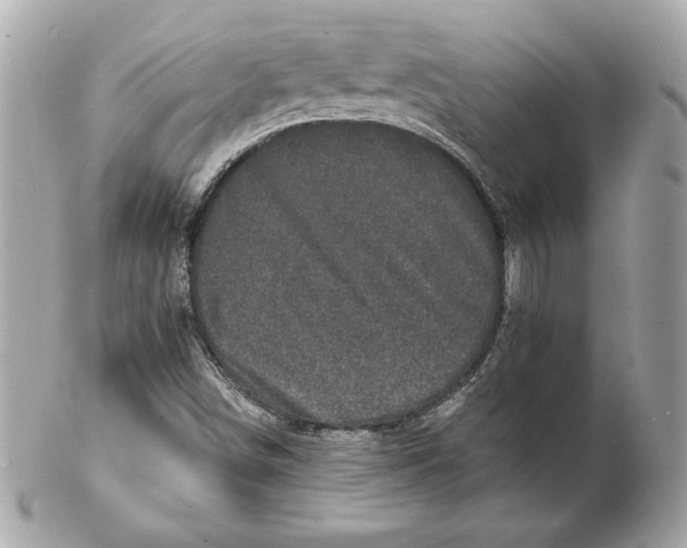 X0000102461498200808291531