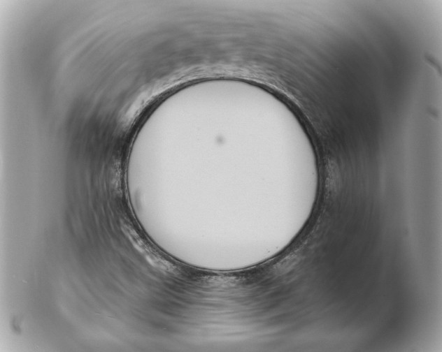 X0000102461499200808291531