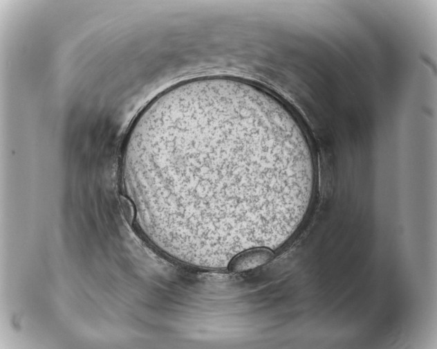 X0000102461500200808291531