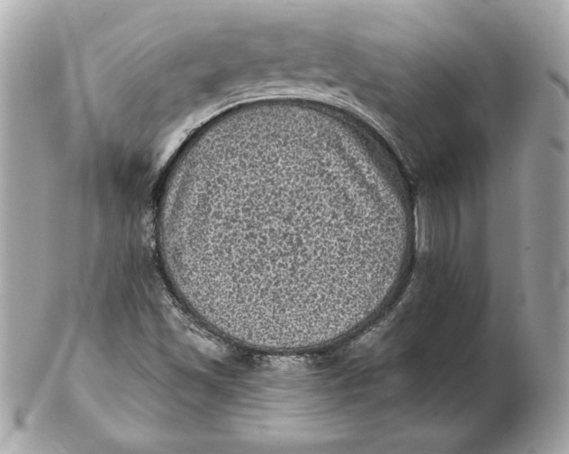 X0000102461501200808291531