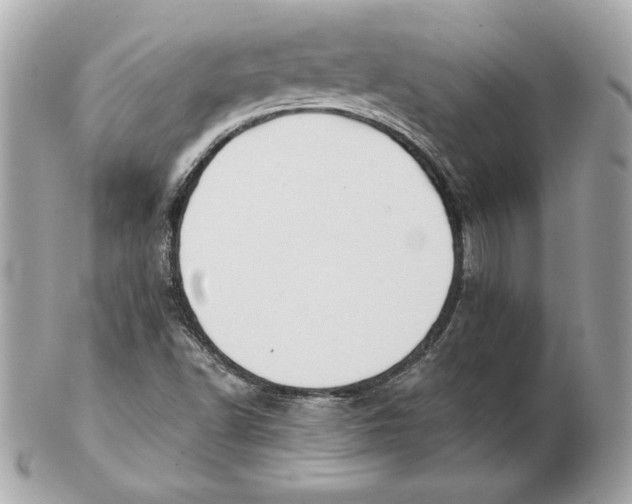 X0000102461502200808291531