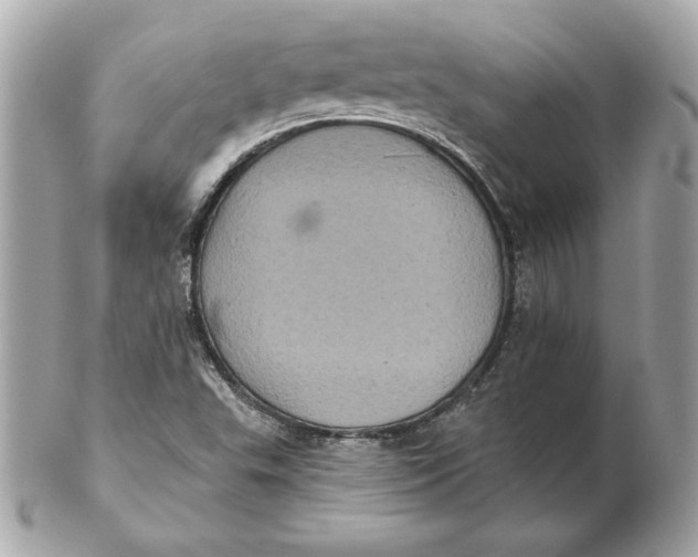 X0000102461503200808291531