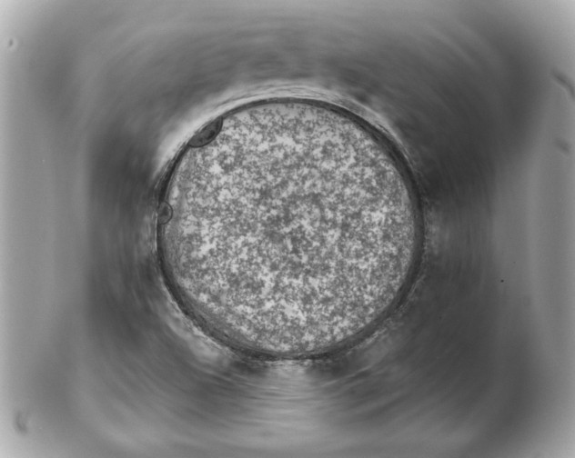 X0000102461504200808291531