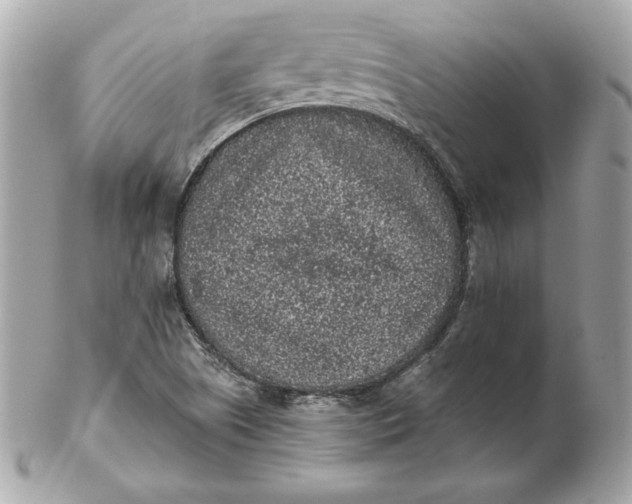 X0000102461505200808291531