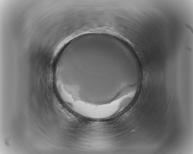 X0000102461506200808291531