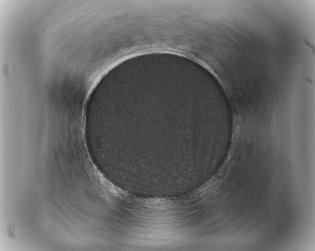 X0000102461508200808291531