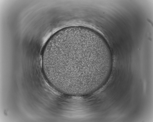 X0000102461509200808291531