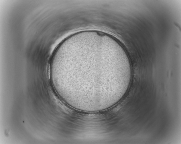 X0000102461510200808291531