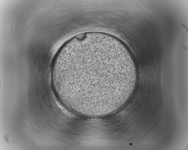 X0000102461511200808291531