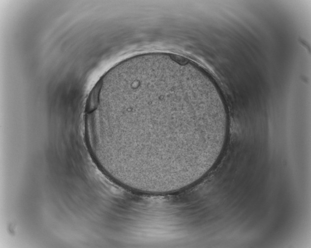 X0000102461512200808291531