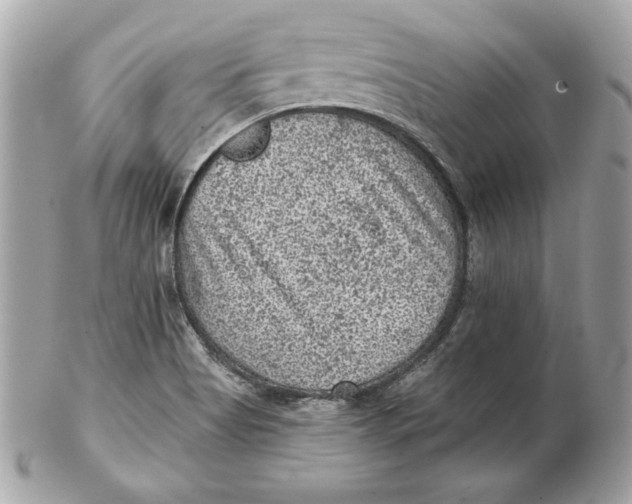 X0000102461513200808291531