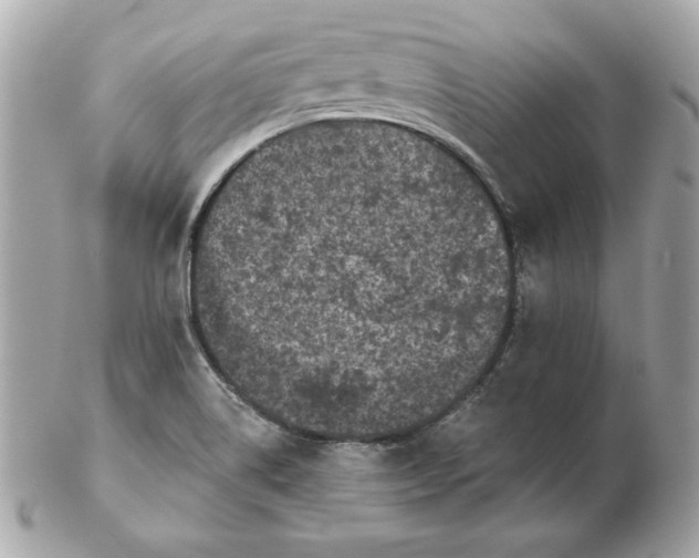 X0000102461514200808291531