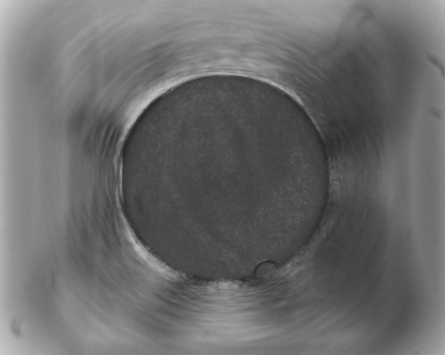 X0000102461515200808291531