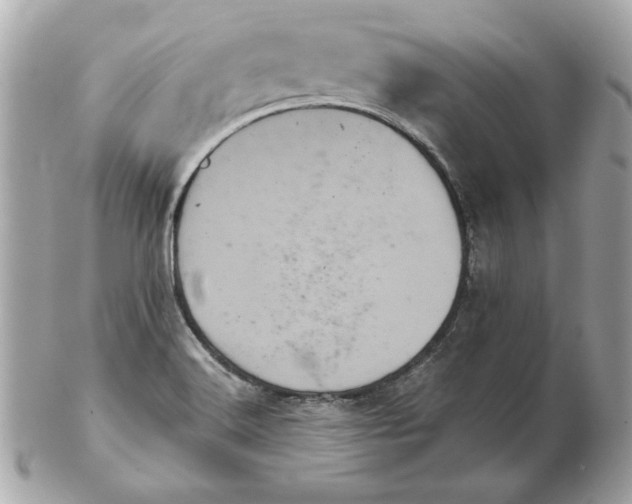 X0000102461516200808291531