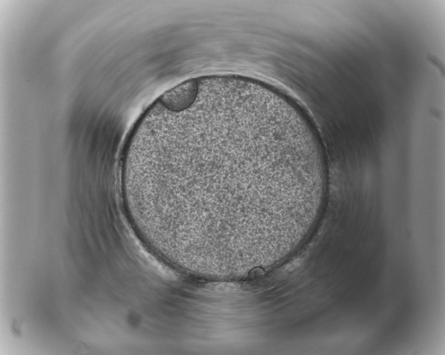 X0000102461517200808291531