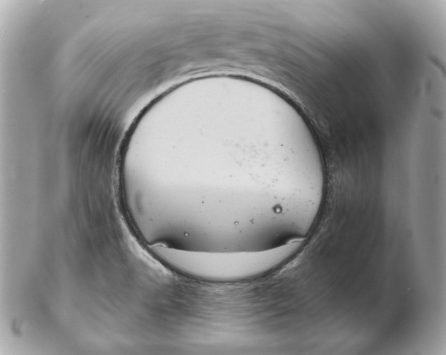 X0000102461518200808291531