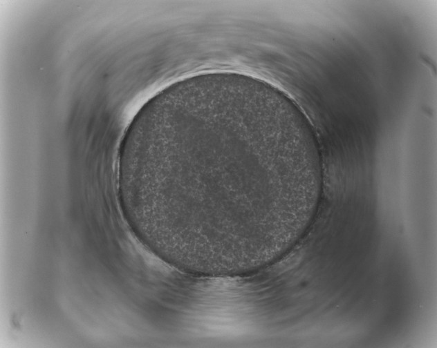 X0000102461519200808291531