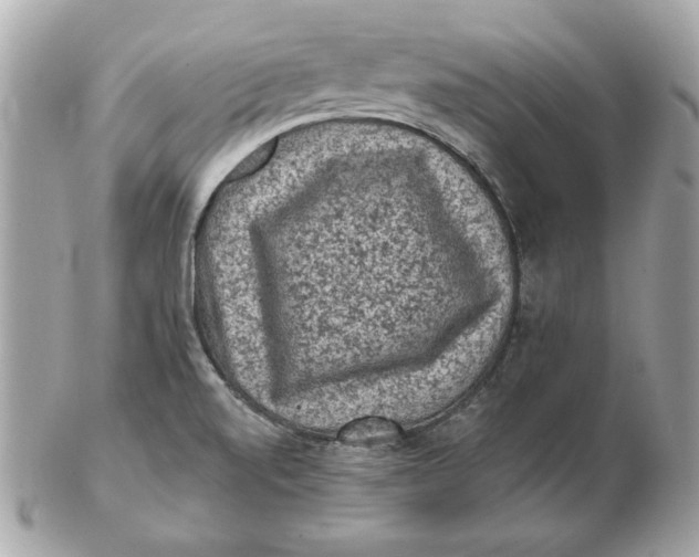 X0000102461520200808291531