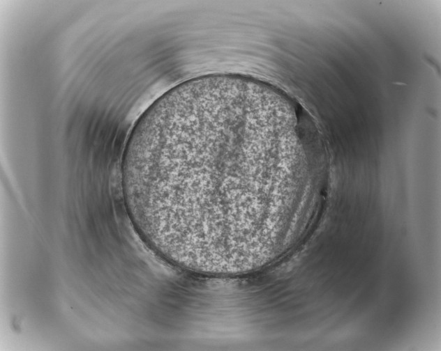 X0000102461521200808291531