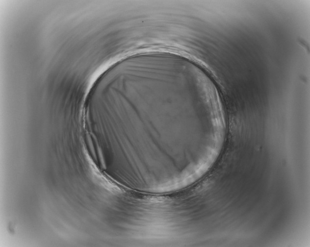 X0000102461522200808291531