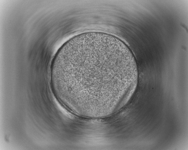 X0000102461523200808291531