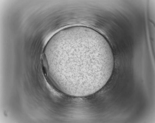 X0000102461524200808291531