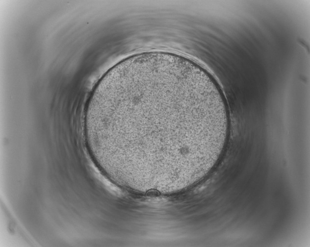 X0000102461525200808291531