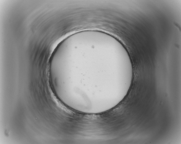 X0000102461526200808291531