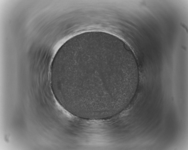 X0000102461527200808291531