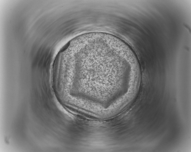 X0000102461528200808291531