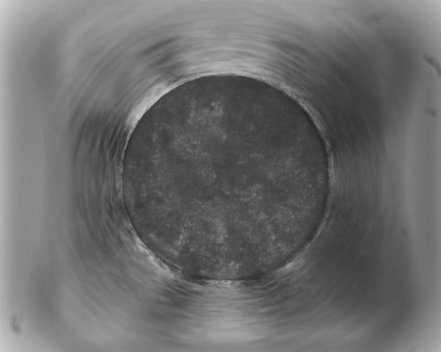 X0000102461529200808291531