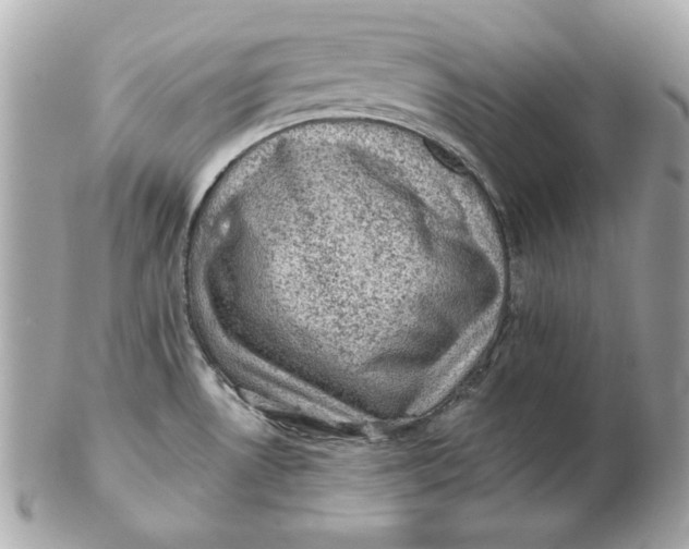 X0000102461530200808291531