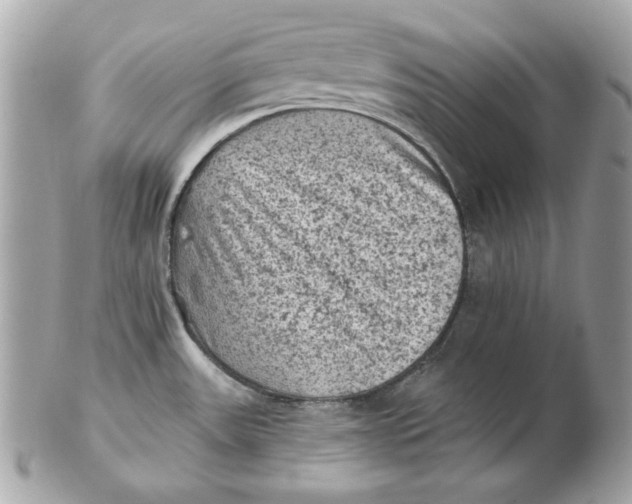 X0000102461531200808291531