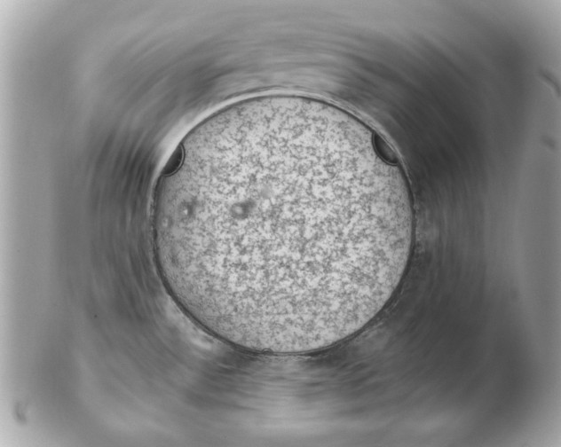 X0000102461532200808291531