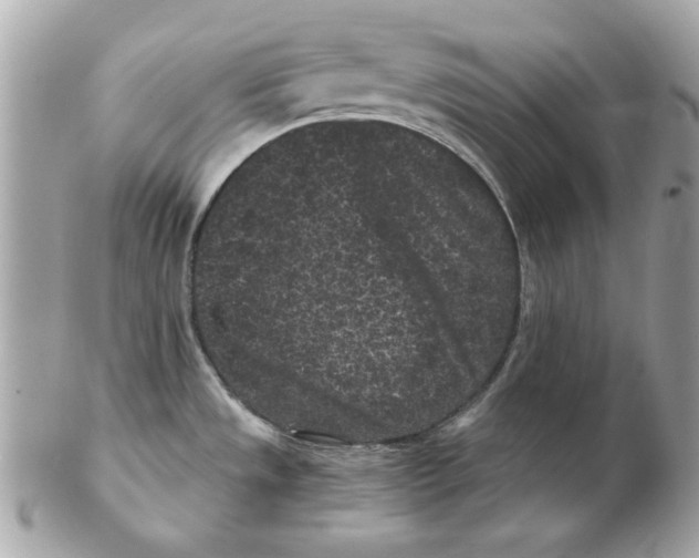 X0000102461533200808291531