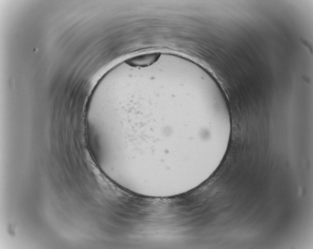 X0000102461534200808291531