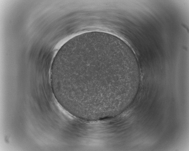 X0000102461535200808291531