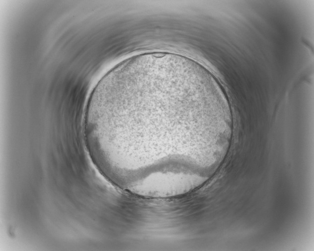 X0000102461536200808291531