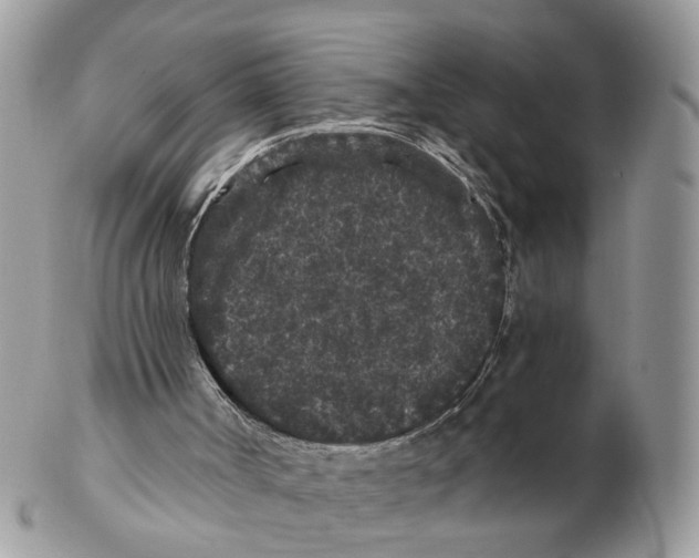 X0000102460002200809051320