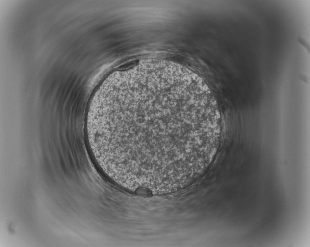 X0000102460003200809051320